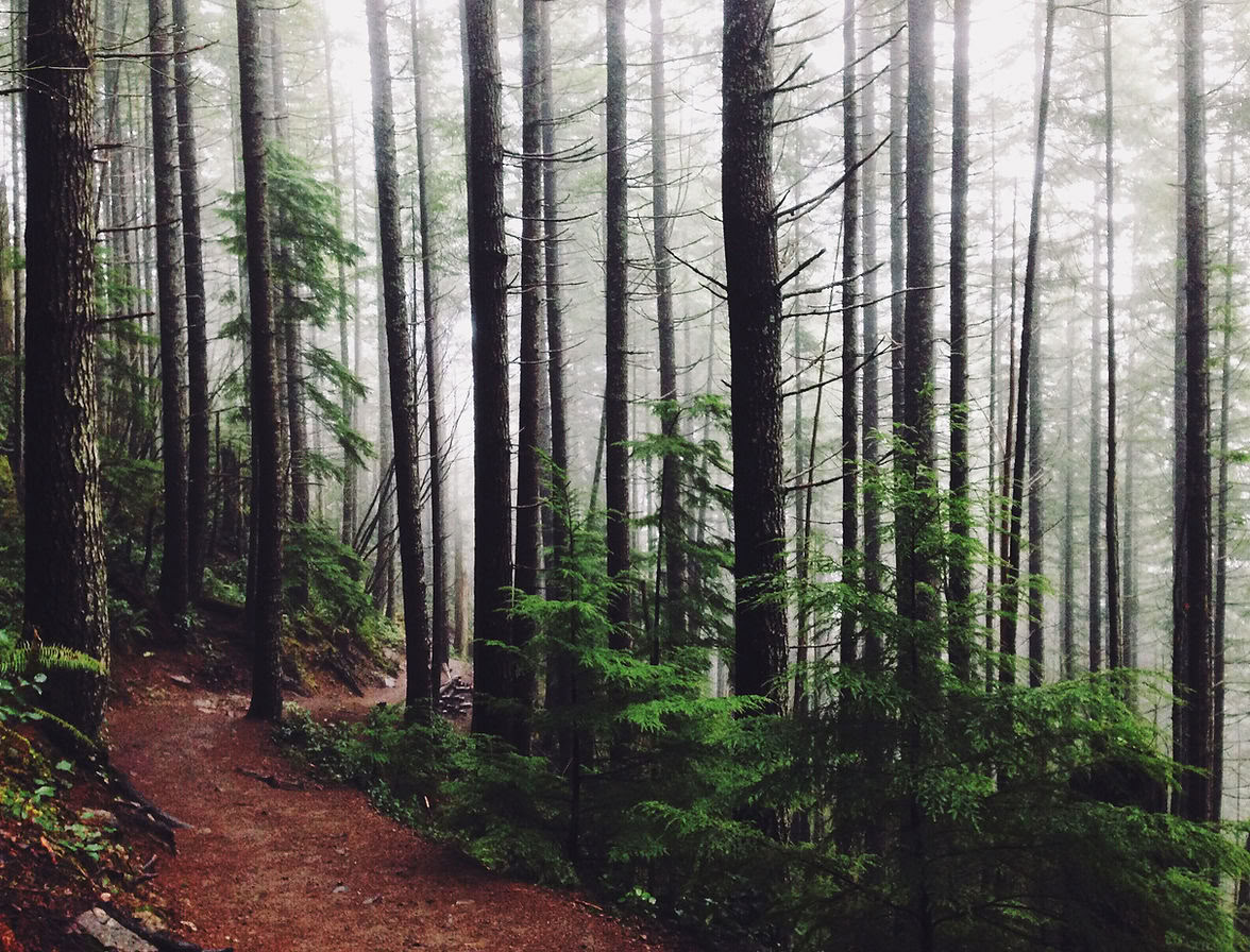 Poonhill - Trekking Yoga