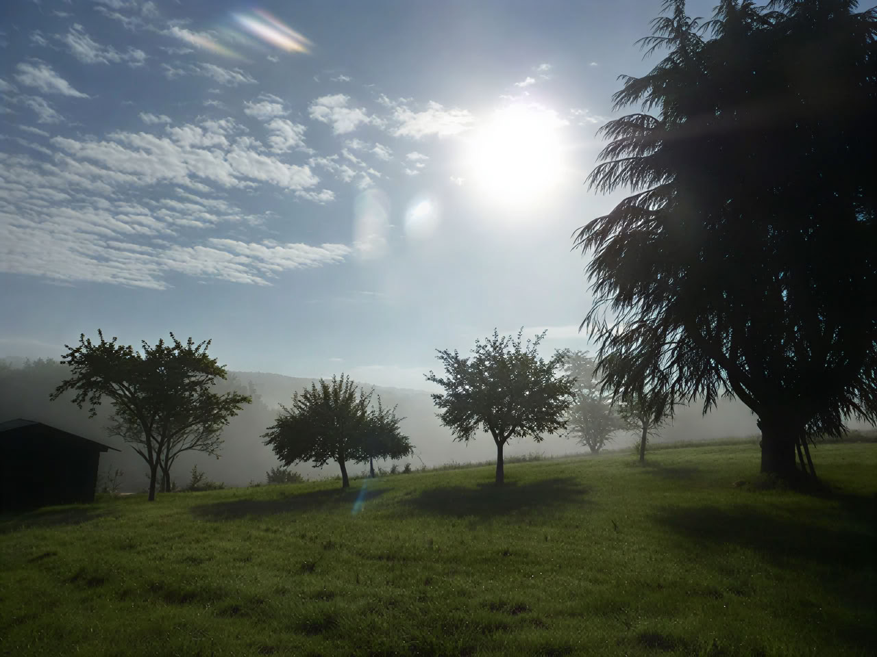 Yoga e Mindfulness