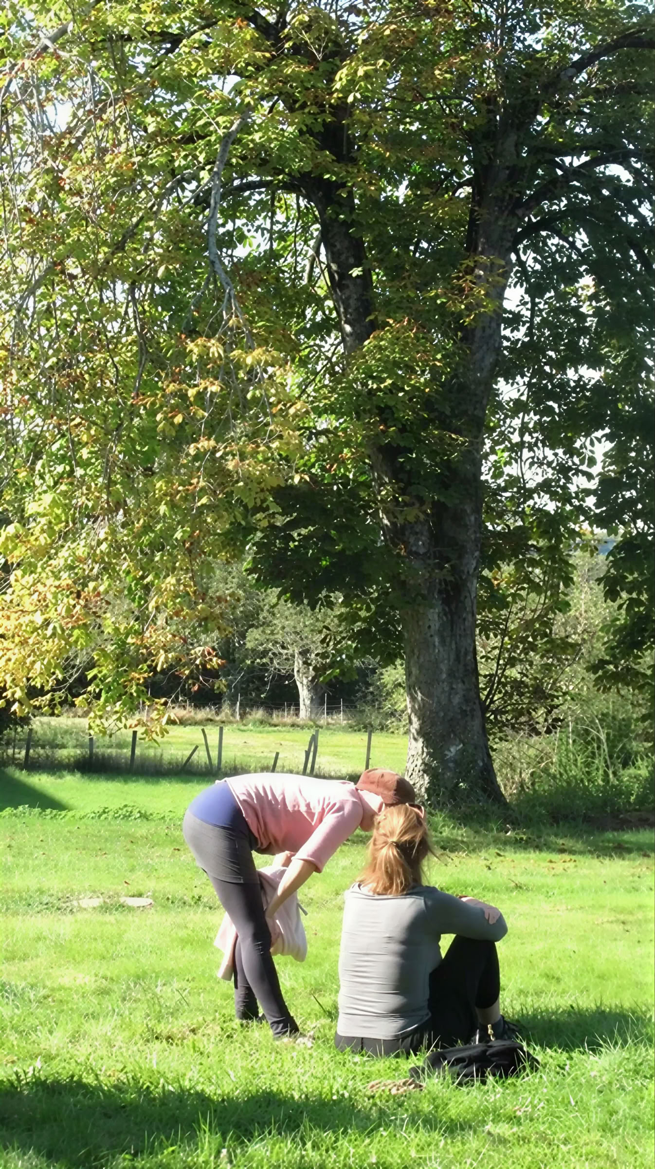 Yoga e Mindfulness