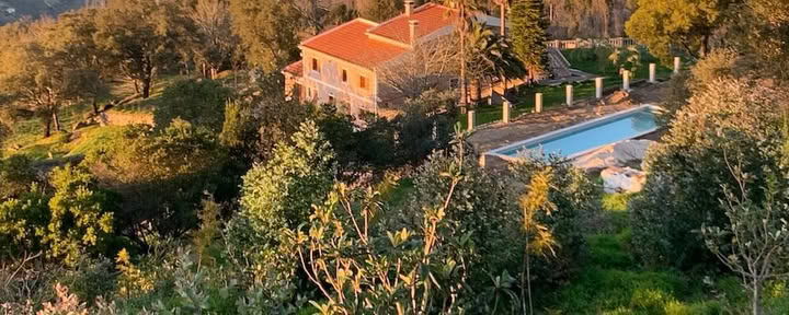 Metamorfosi - Il tuo viaggio di trasformazione