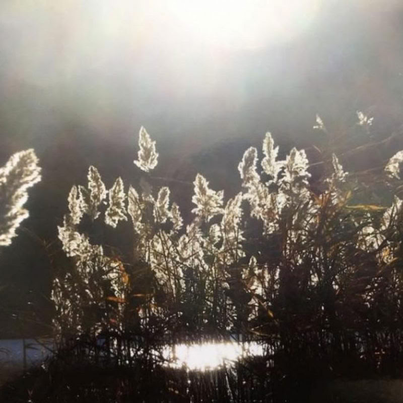 Partorire nella luce della guarigione