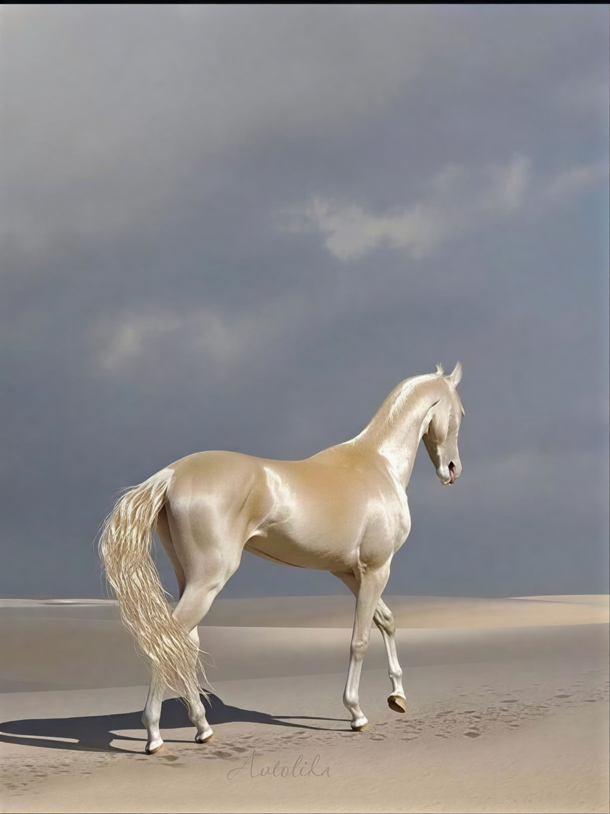 Anno del Cavallo – Raccolto e Rilascio