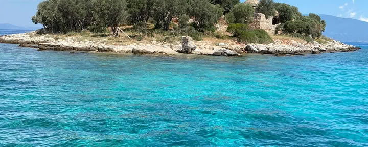Raccolta gioiosa delle olive