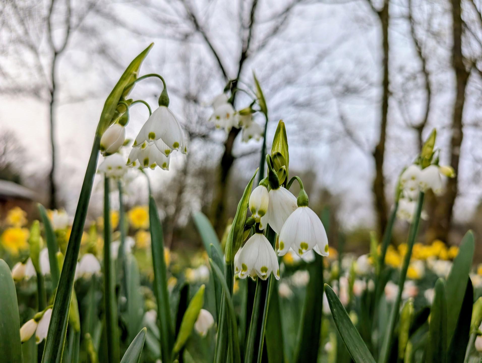 Il Mantra OM | Corso di autoapprendimento