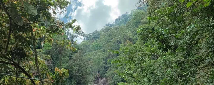 Zipline sul fiume Pacuare
