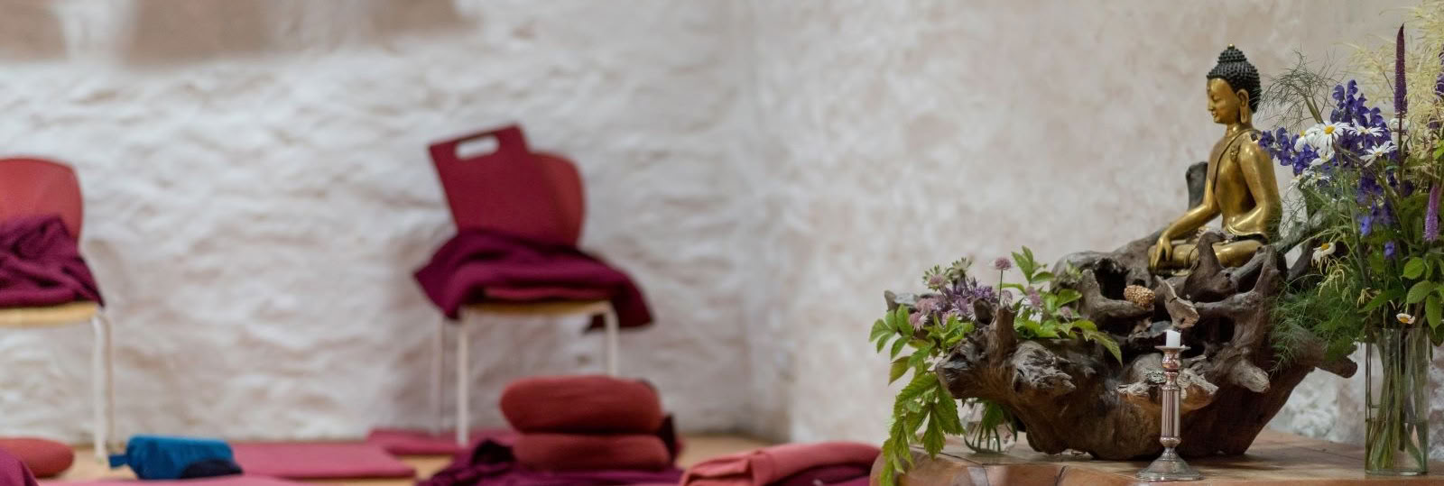 andare più a fondo - il sentiero dell’inverno: camminare e consapevolezza della natura