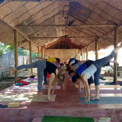 Ritiro di yoga zen di 7 giorni a un solo cuore ad Alleppey, Kerala, India