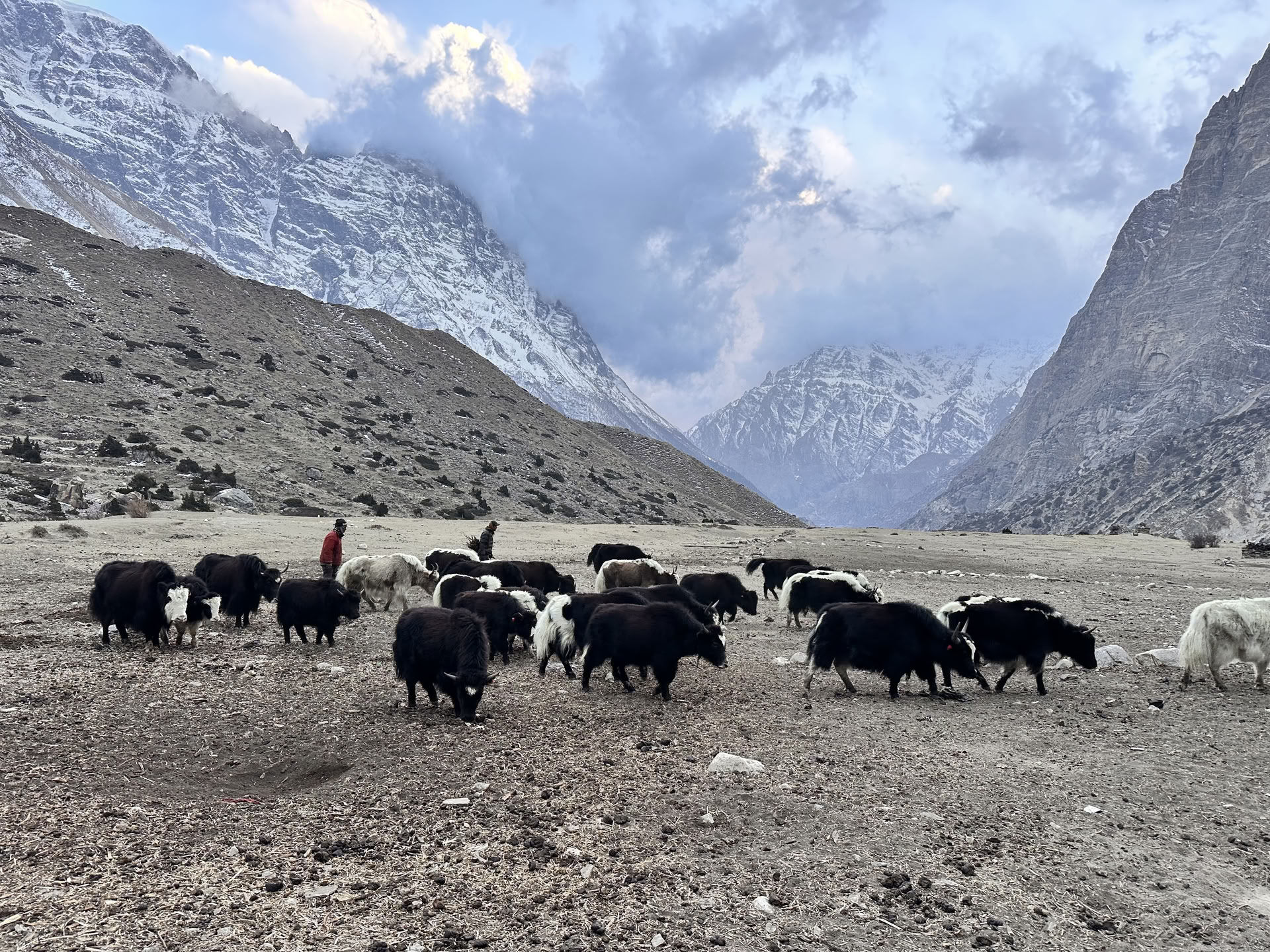 Trekking yoga sul circuito dell’Annapurna con il lago Tilicho