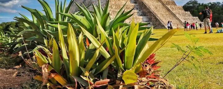 Detox di 7 giorni fronte oceano: introduzione all’Ayurveda più yoga