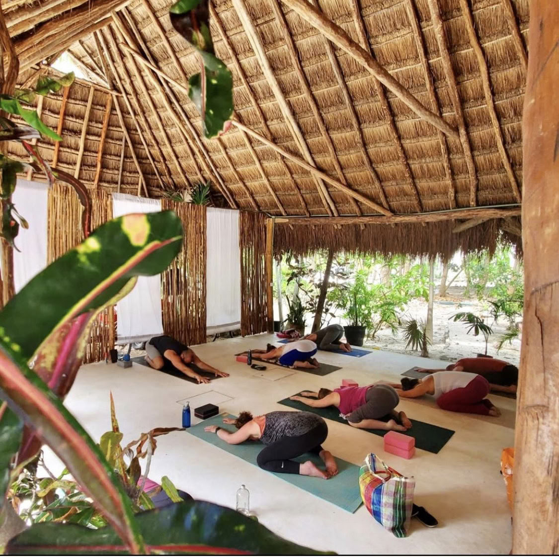 Ritiro di yoga e meditazione Ocean Flow di 7 giorni qui e ora