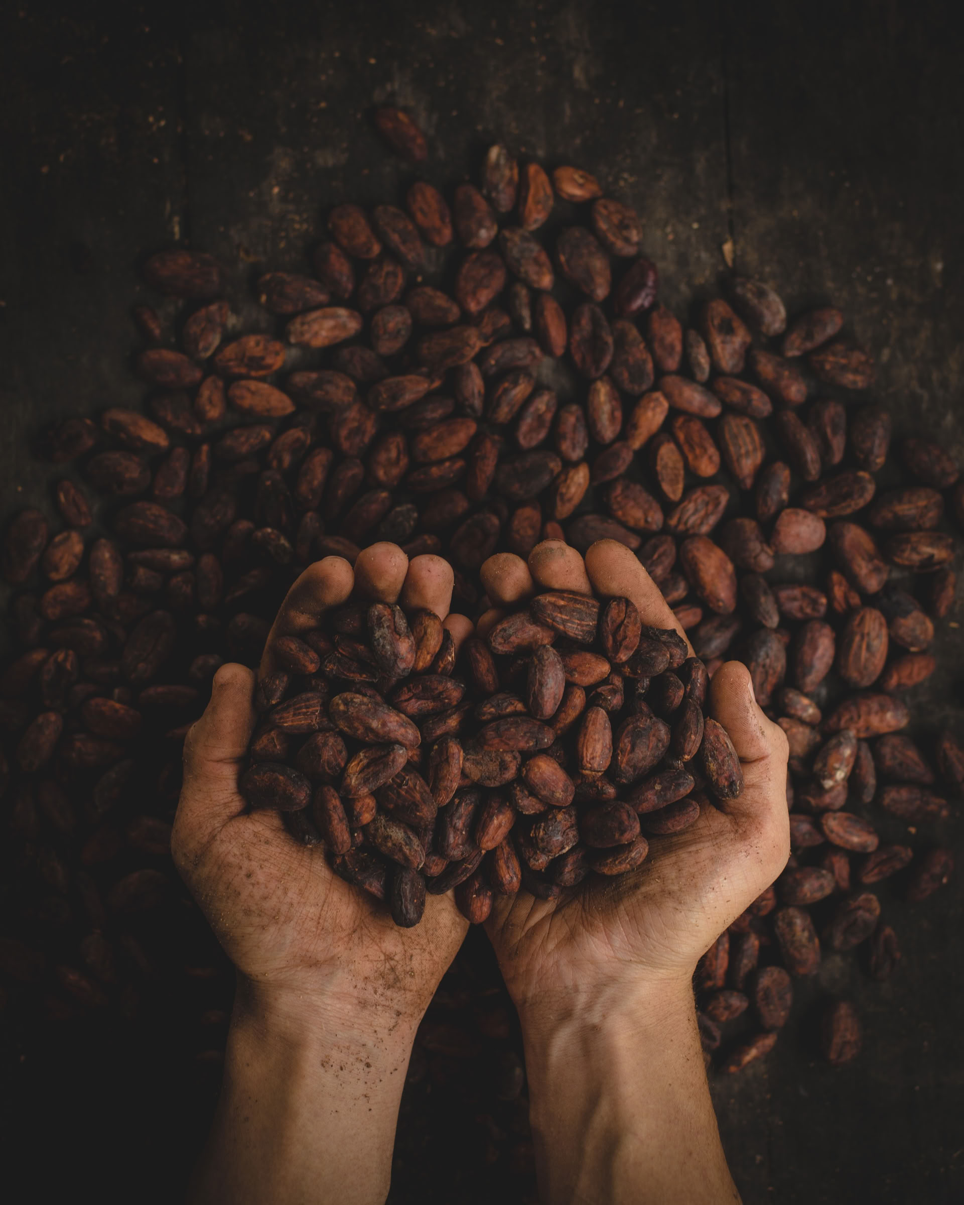 Cerimonia privata del cacao