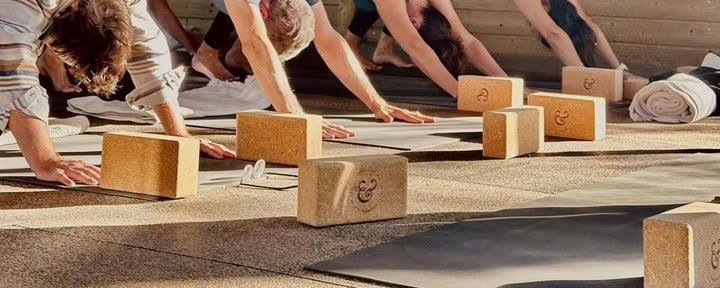 Ritiro di yoga non troppo serio