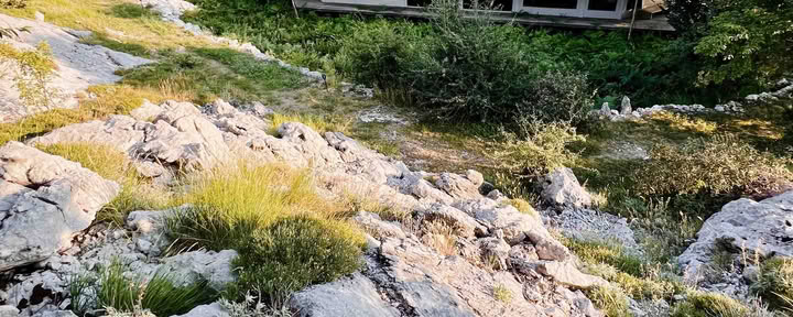 Ritiro di yoga di 6 giorni: equilibrio, guarigione, ricarica