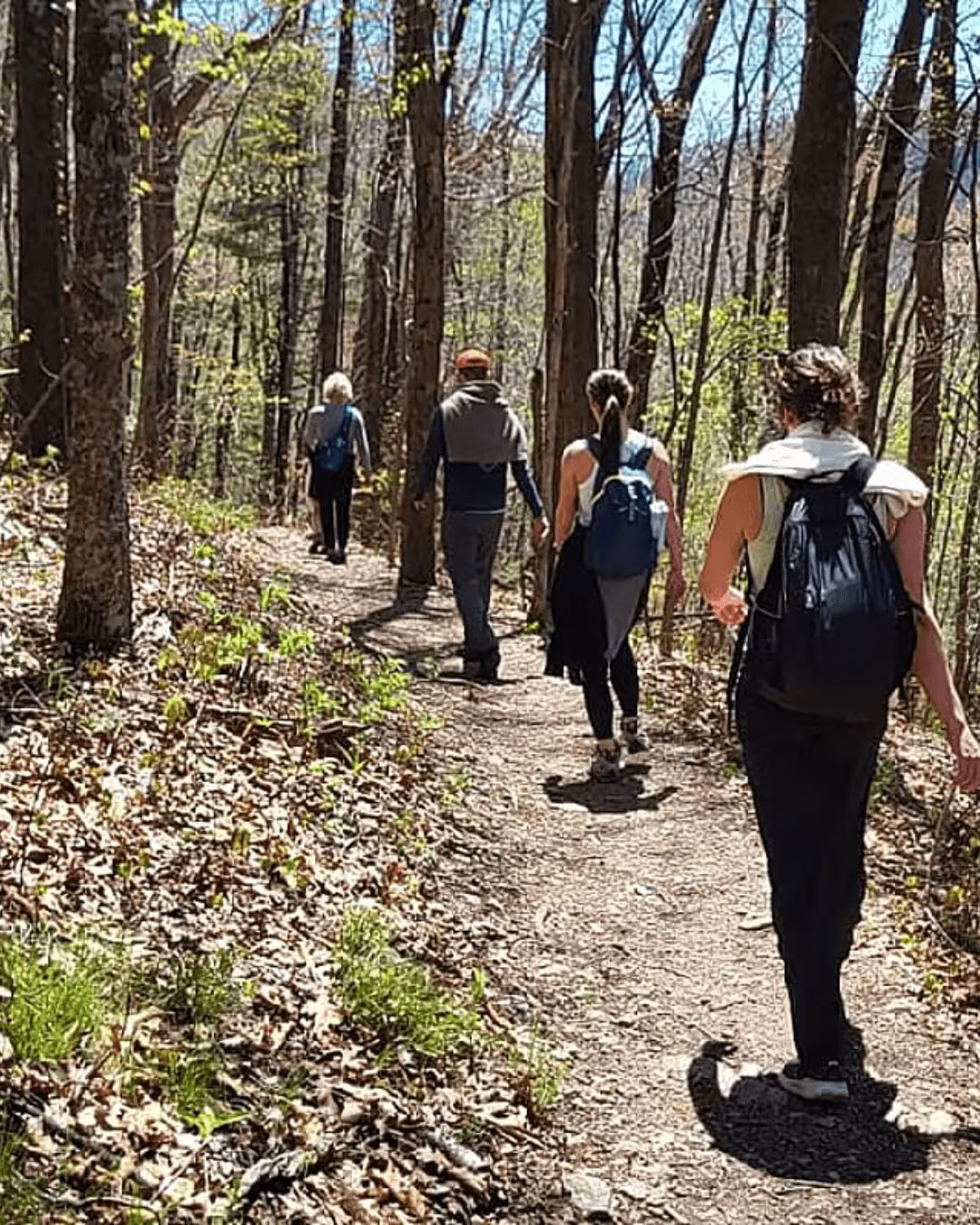 Natura e Beatitudine – Ritiro di Yoga in Carolina del Nord