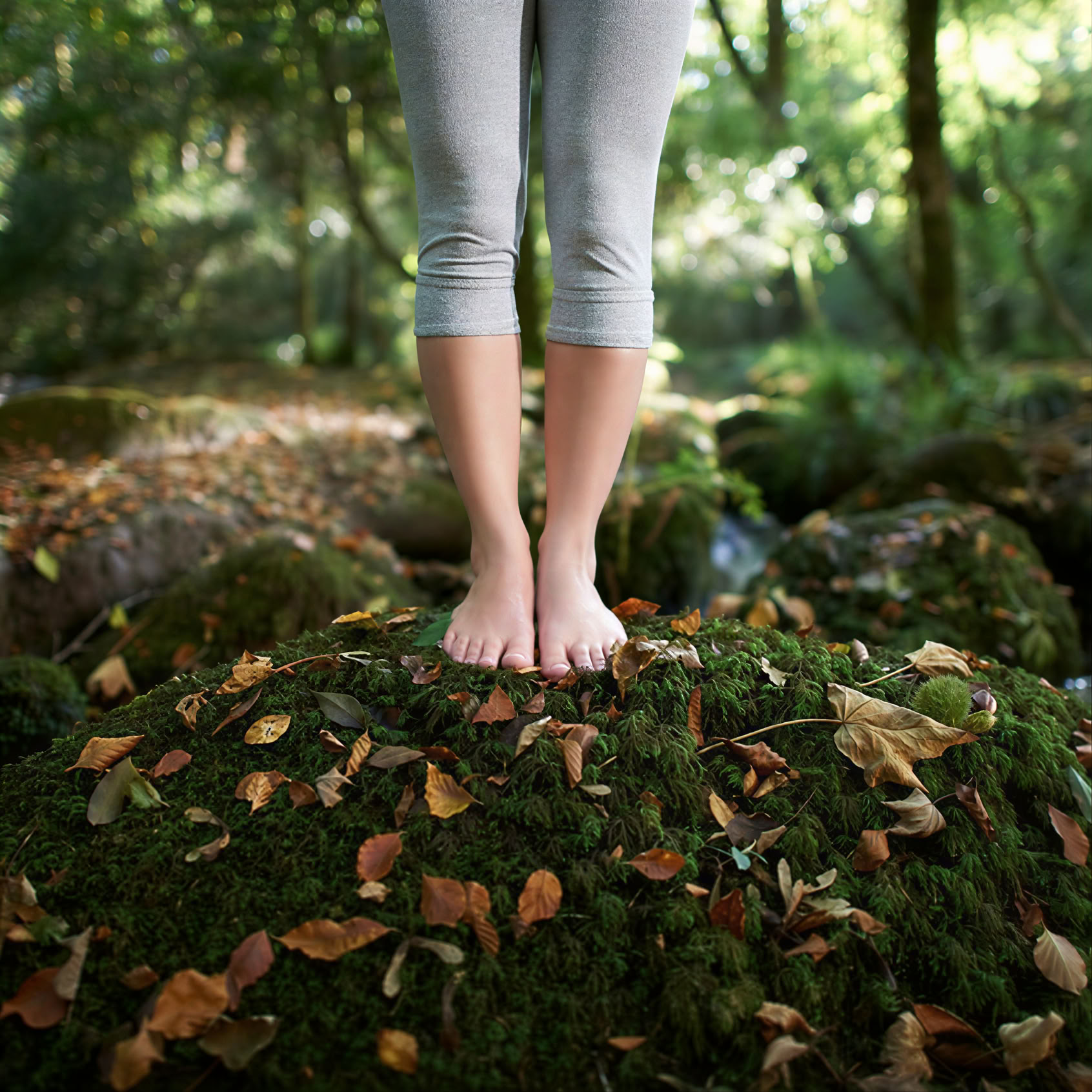 Il ritiro nella foresta Reset