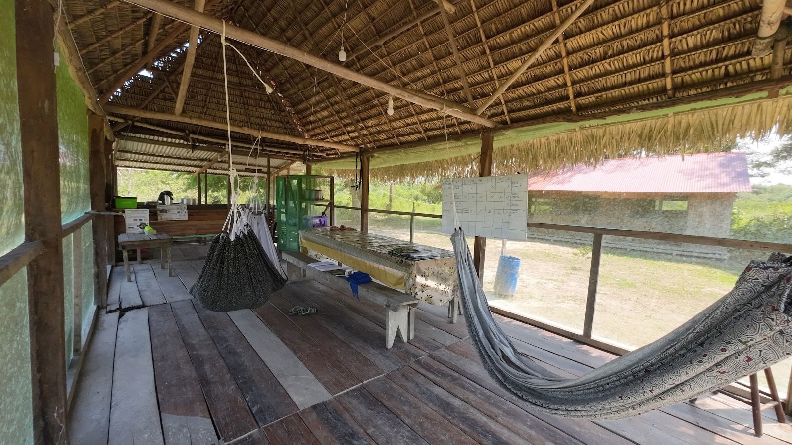 Foundation Shipibo Ayahuasca & Shamanism