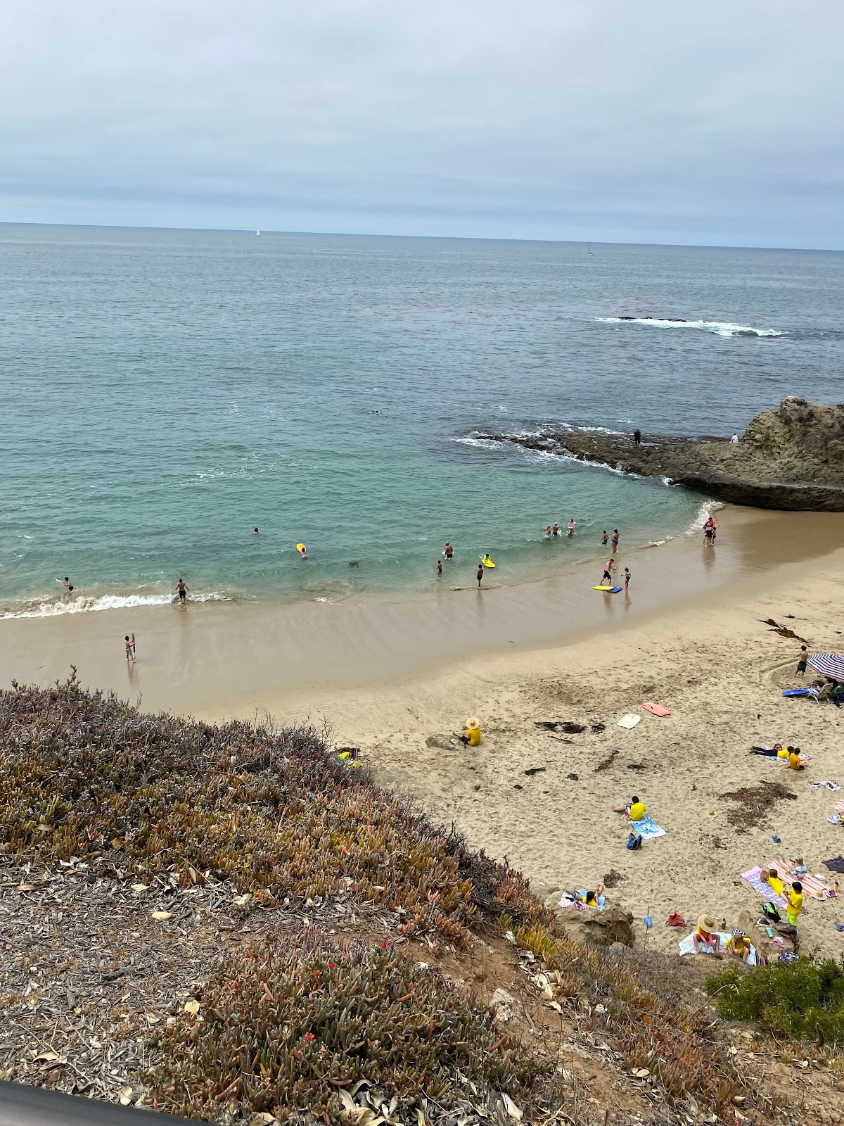 I love Laguna Tours & Events