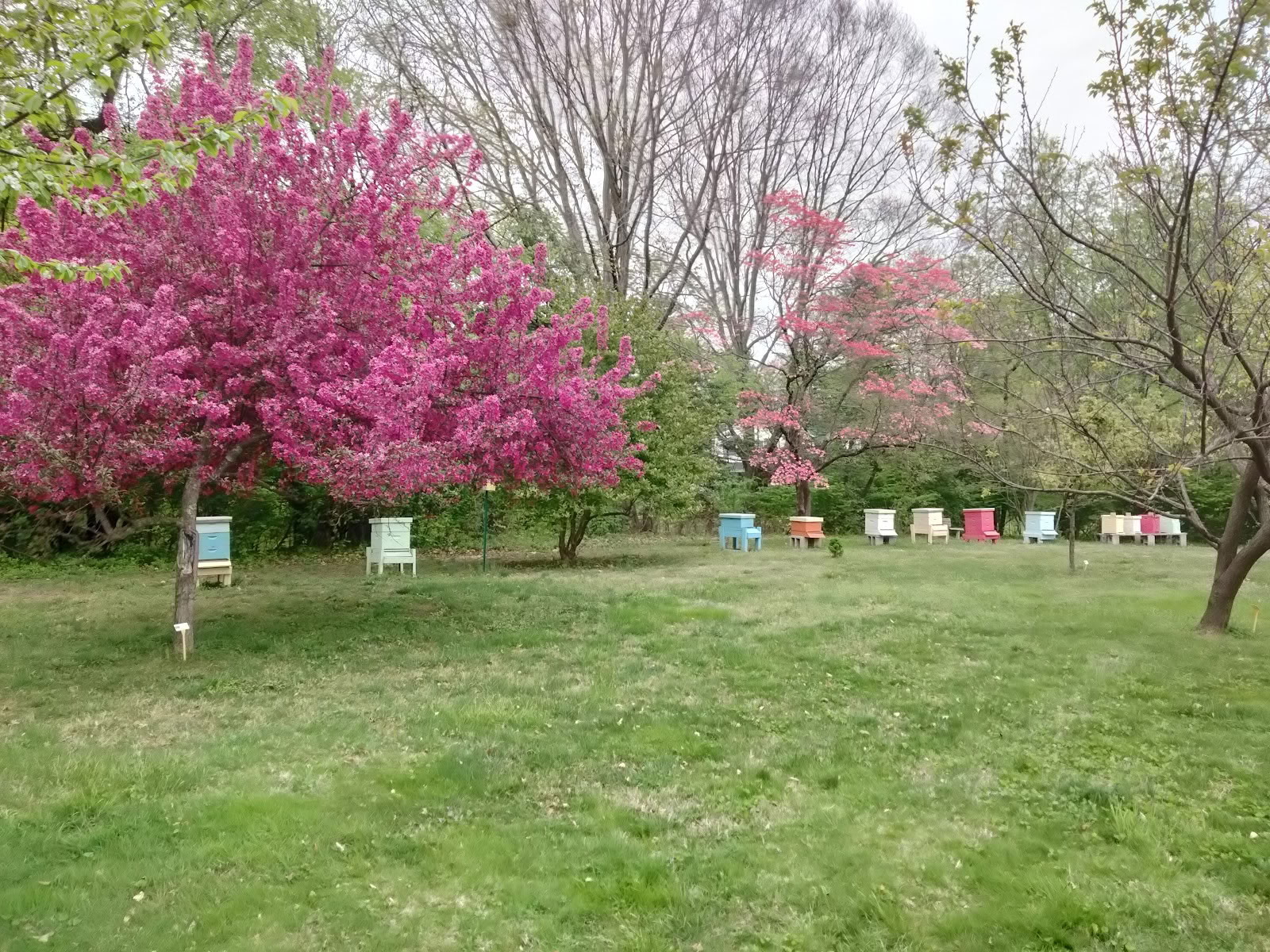 Cranaleith Spiritual Center