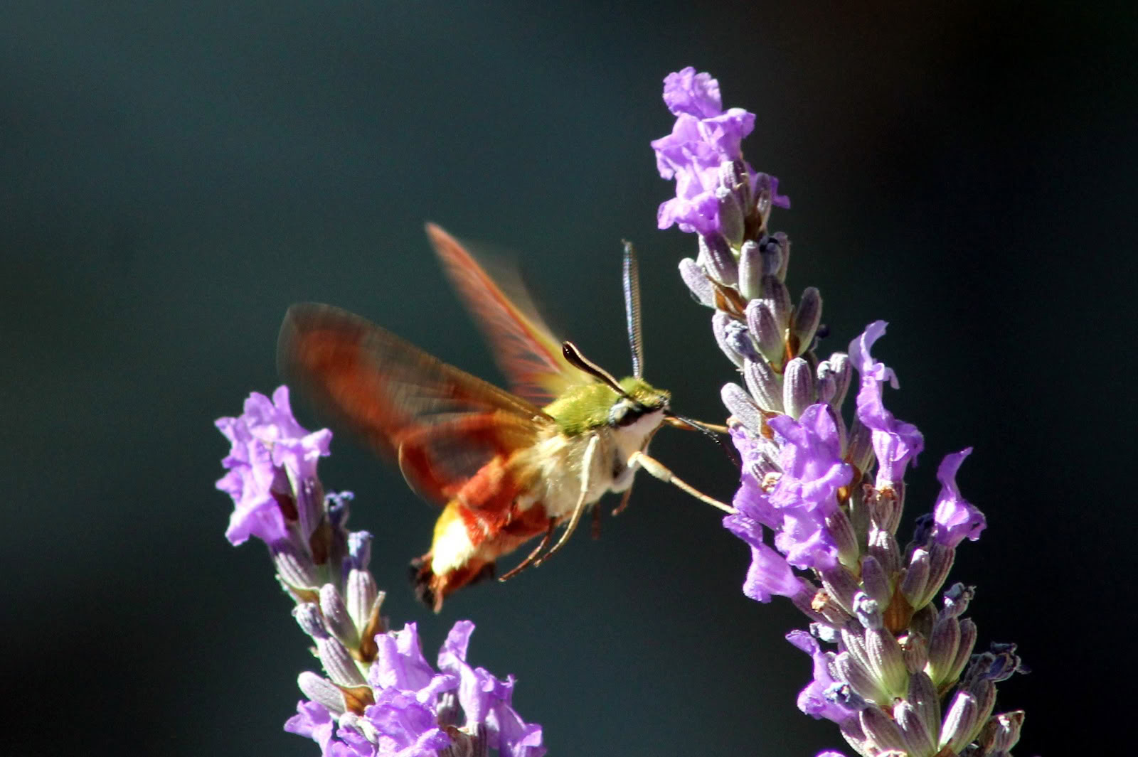 Riconnettersi con la Natura