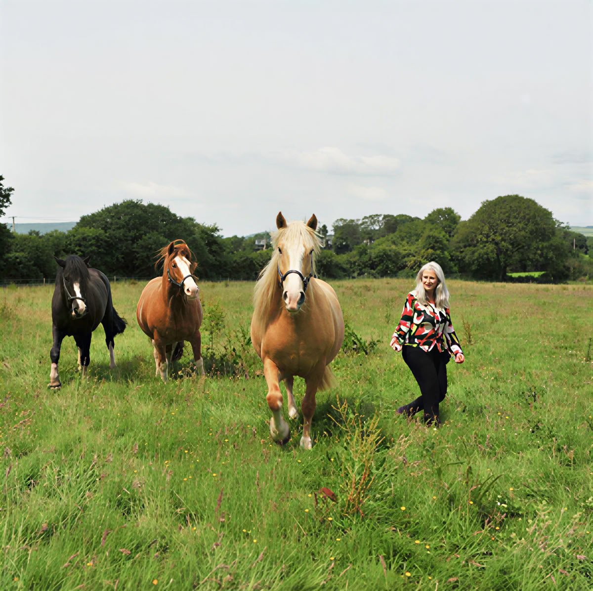 Epona Retreat Centre