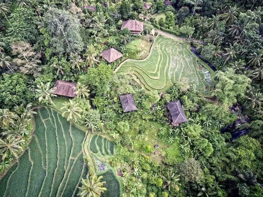 Purna Yoga Bali | Ritiri e corsi di formazione di Ashtanga Yoga