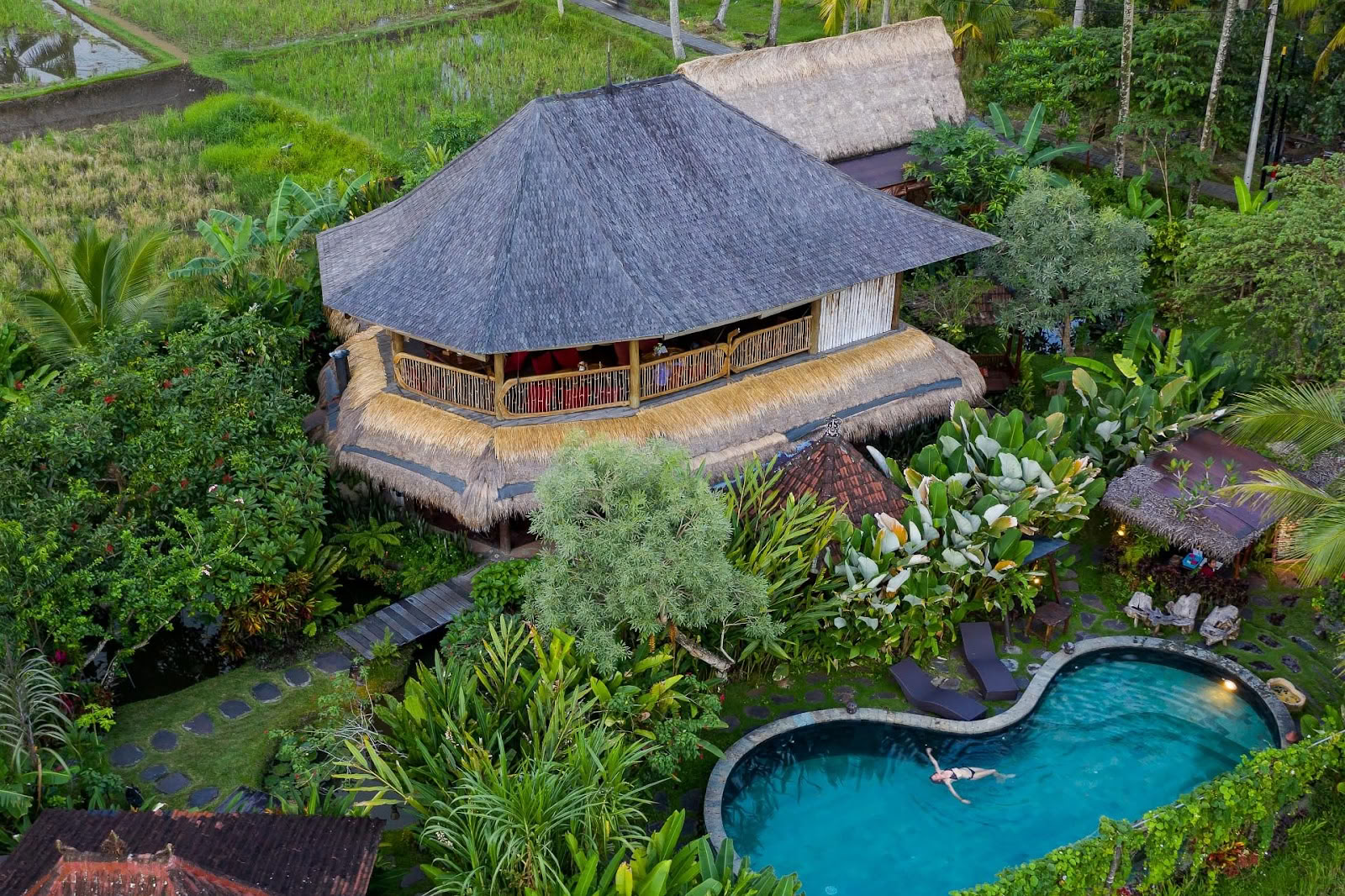 Dragonfly Village