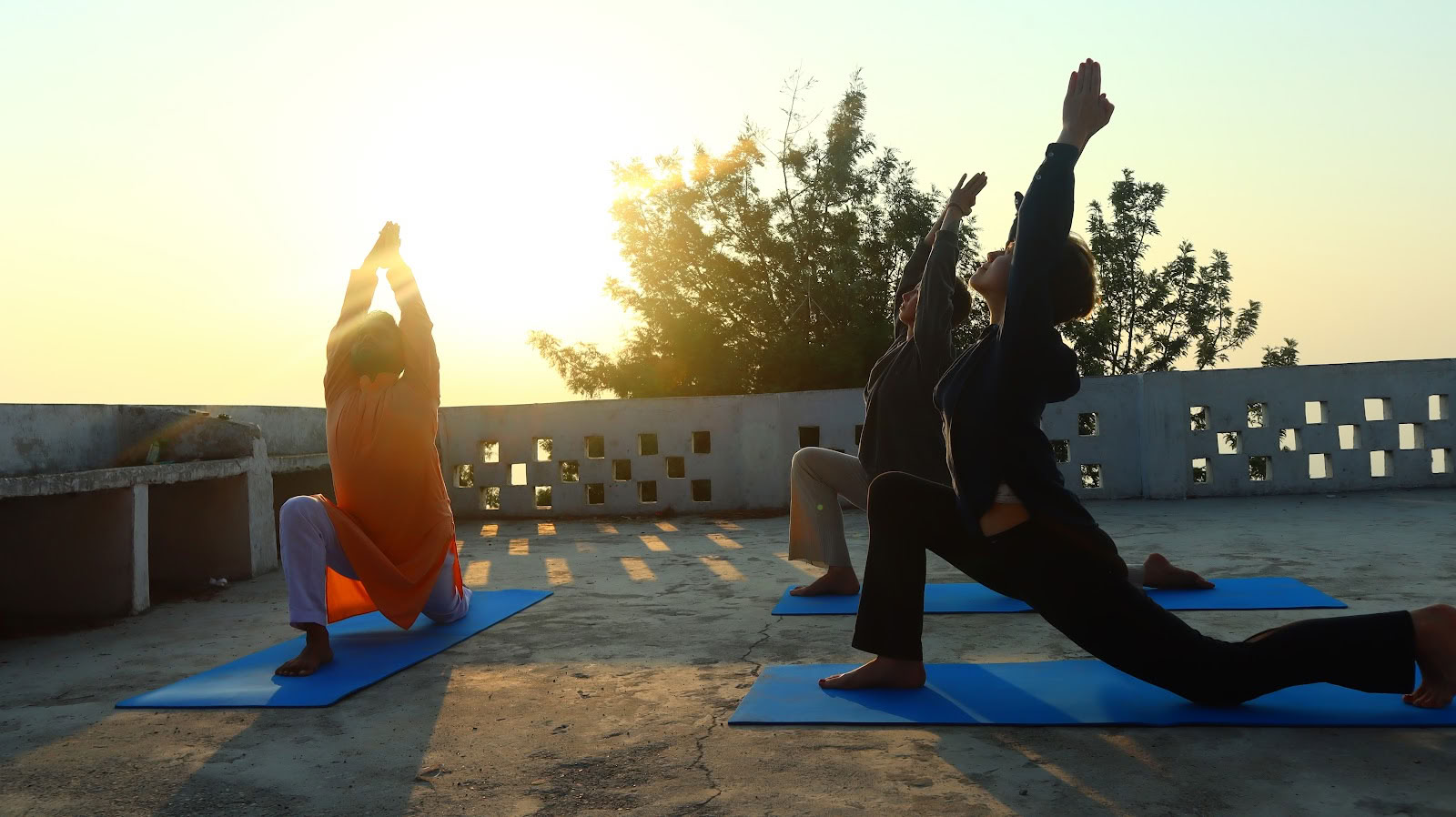 YOGA ESSENCE: Formazione Insegnanti di Meditazione Ashram