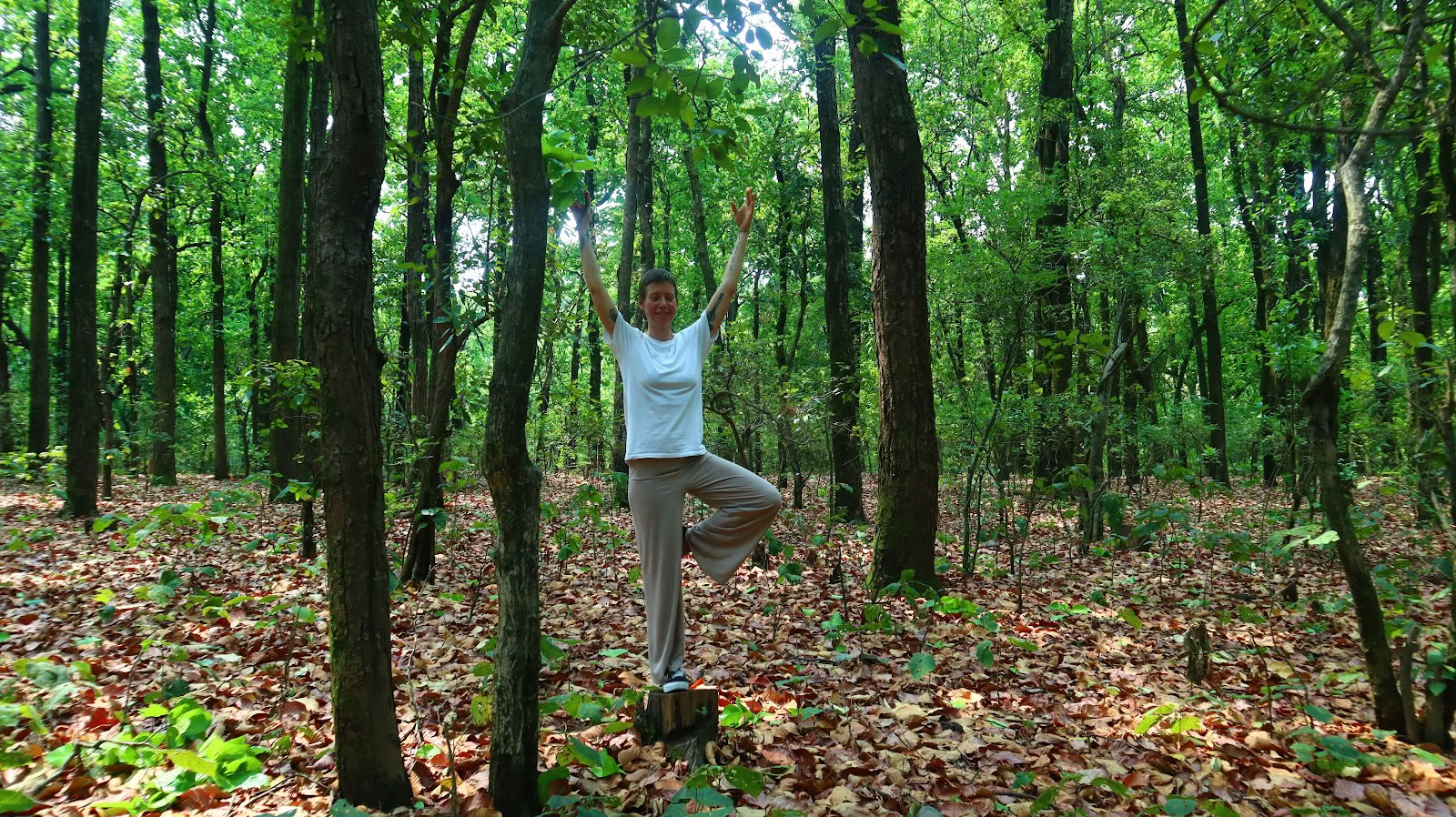 YOGA ESSENCE: Formazione Insegnanti di Meditazione Ashram