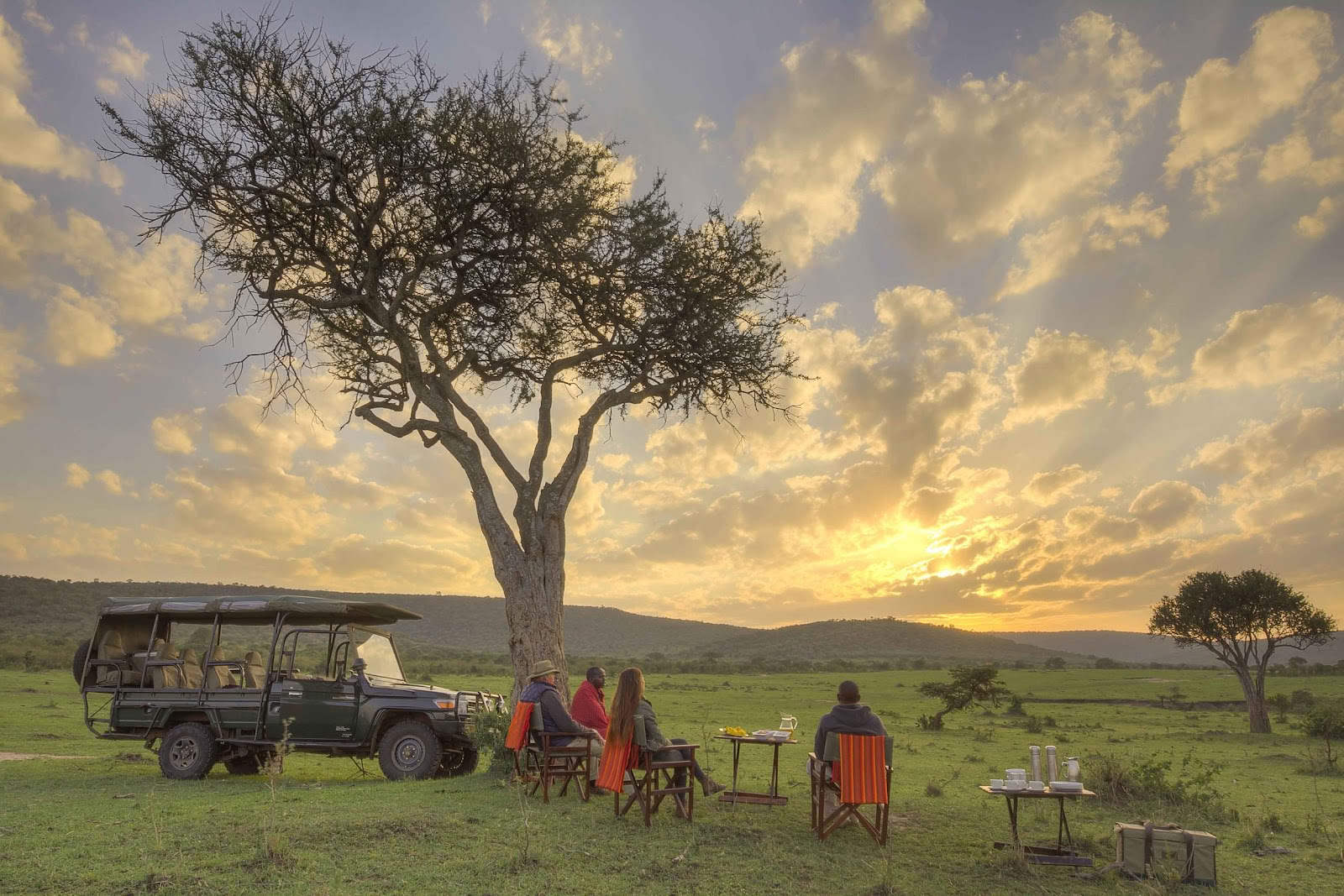 Safari e Yoga