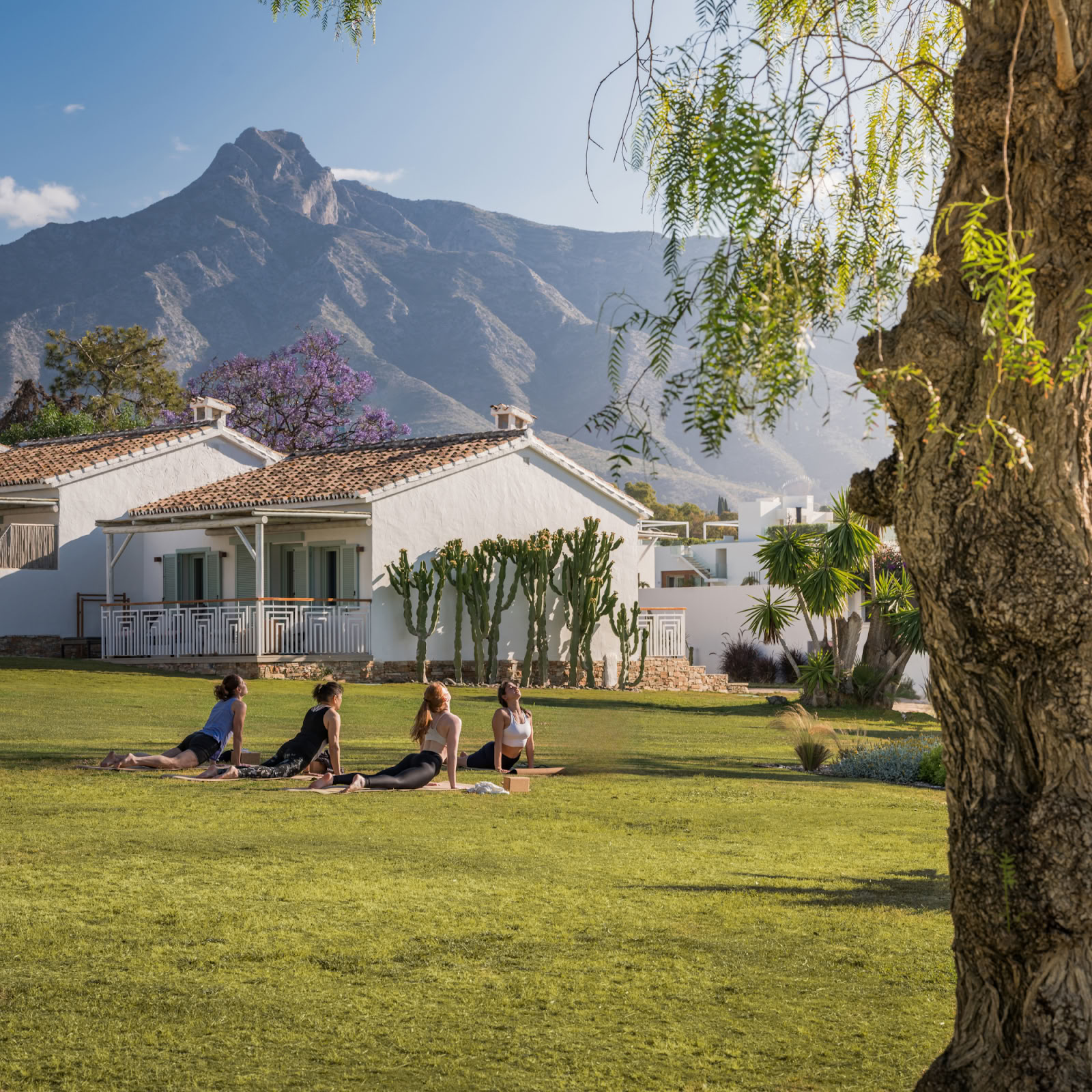 Boho Wellness · Salute e Ritiri
