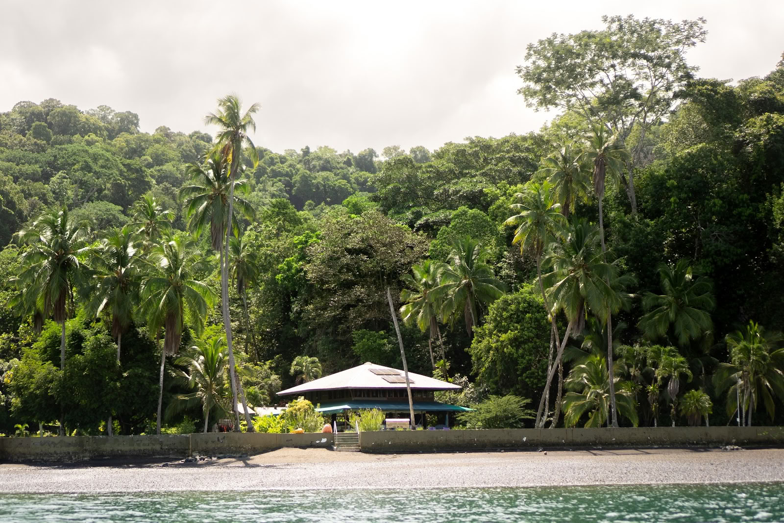 Pandorita Costa Rica - Workshop di Ayahuasca