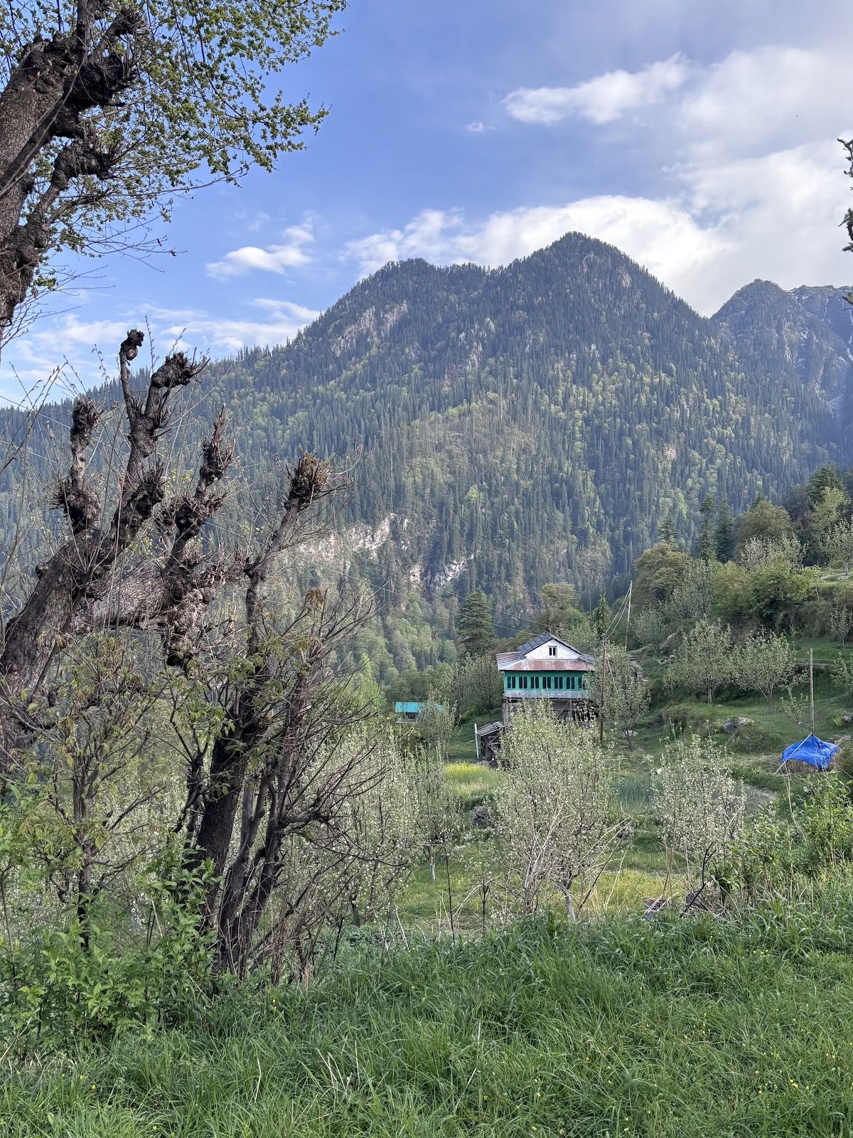 The Void Tirthan - Workation tra Montagne, Home Stay, Coliving, Co-working e Caffè