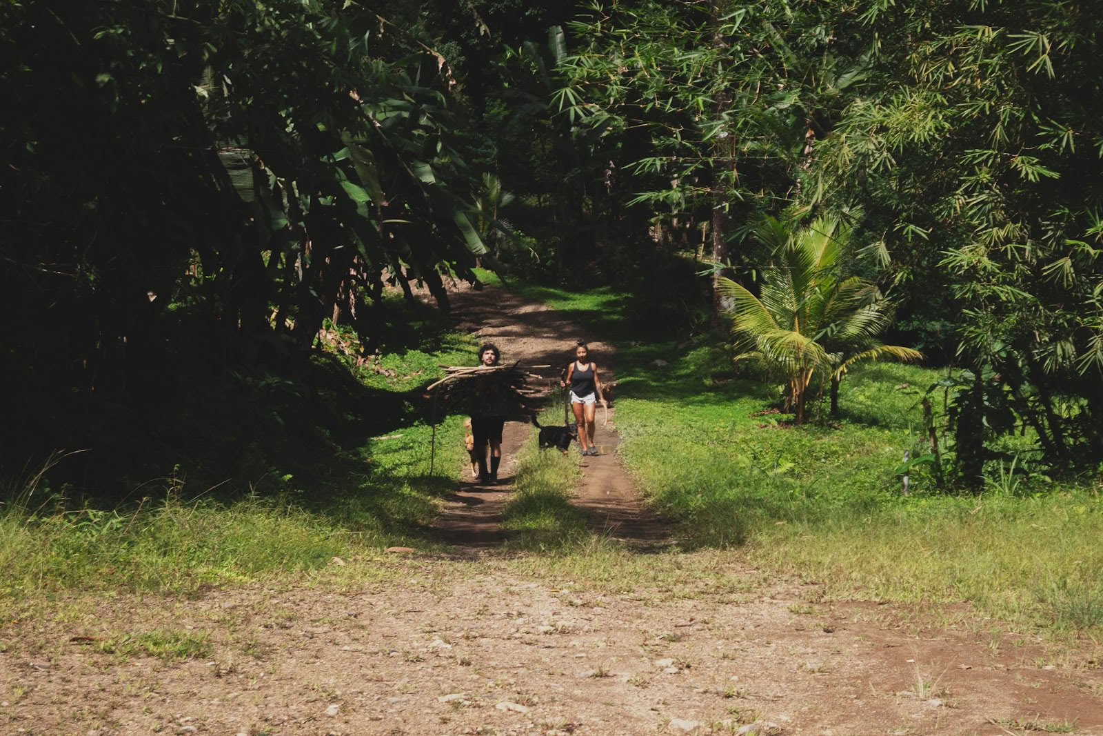 Finca Shambhala Biologica
