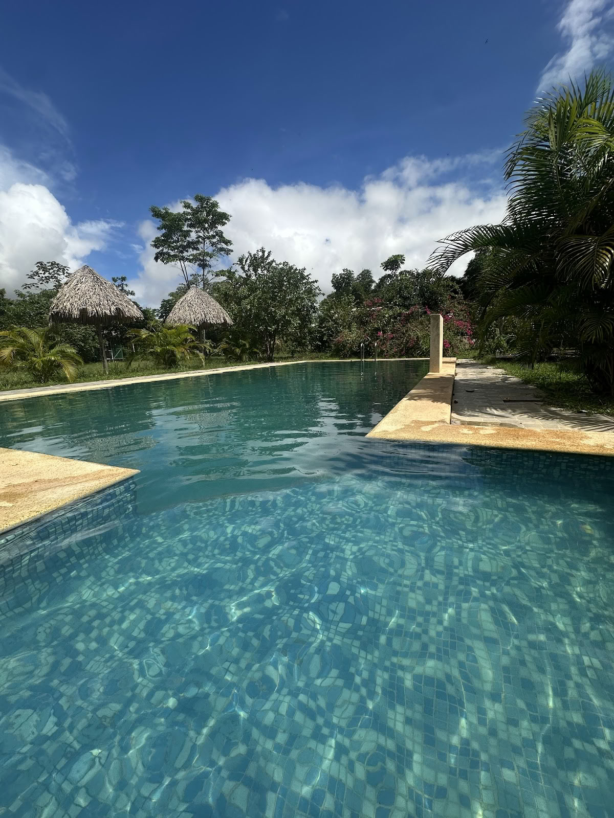 Centro Spirituale dell’Ayahuasca