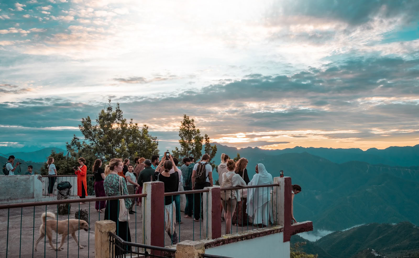 Samadhi Yoga Ashram - La migliore scuola di yoga a Rishikesh, India