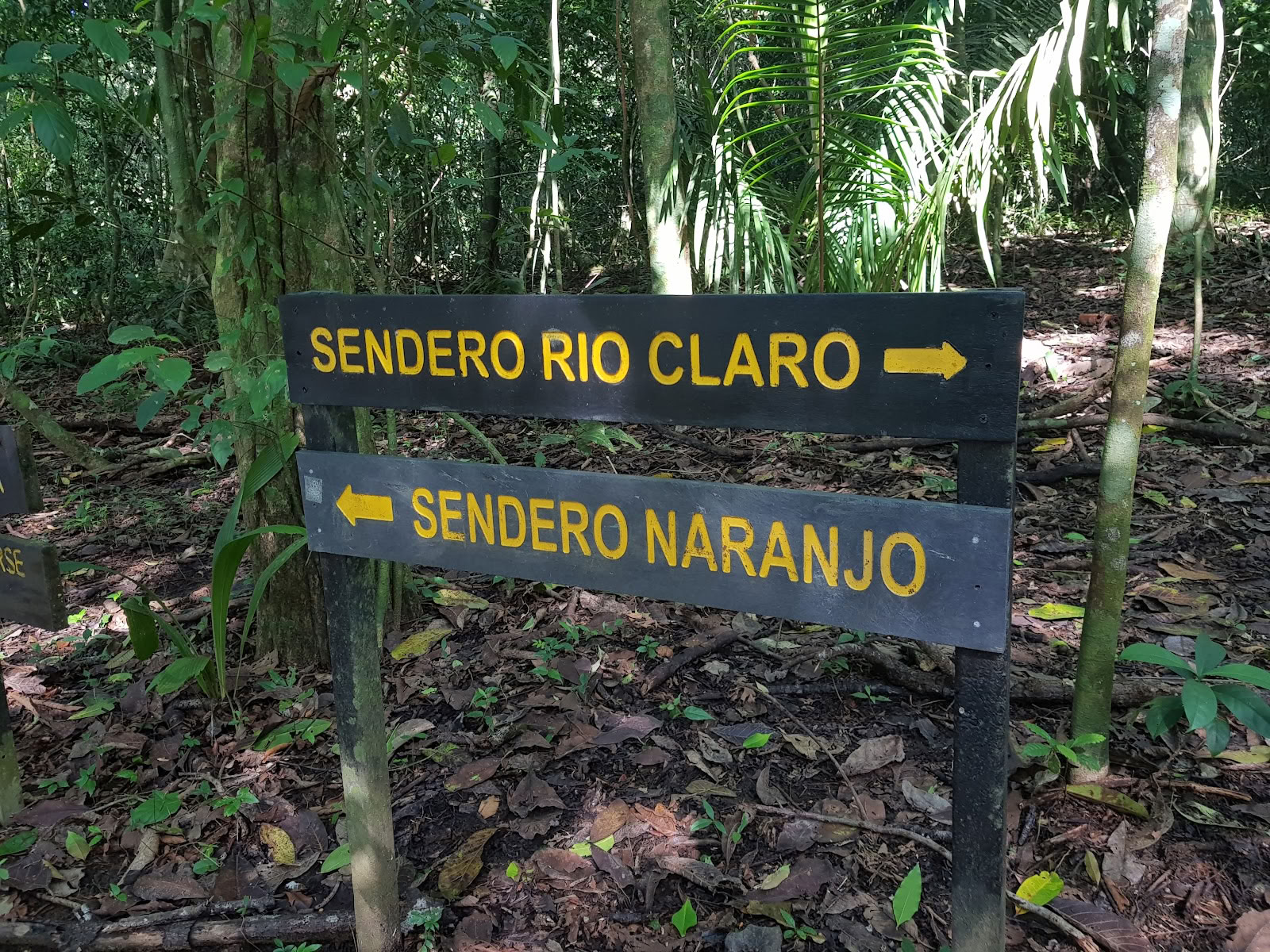 Penisola di Osa