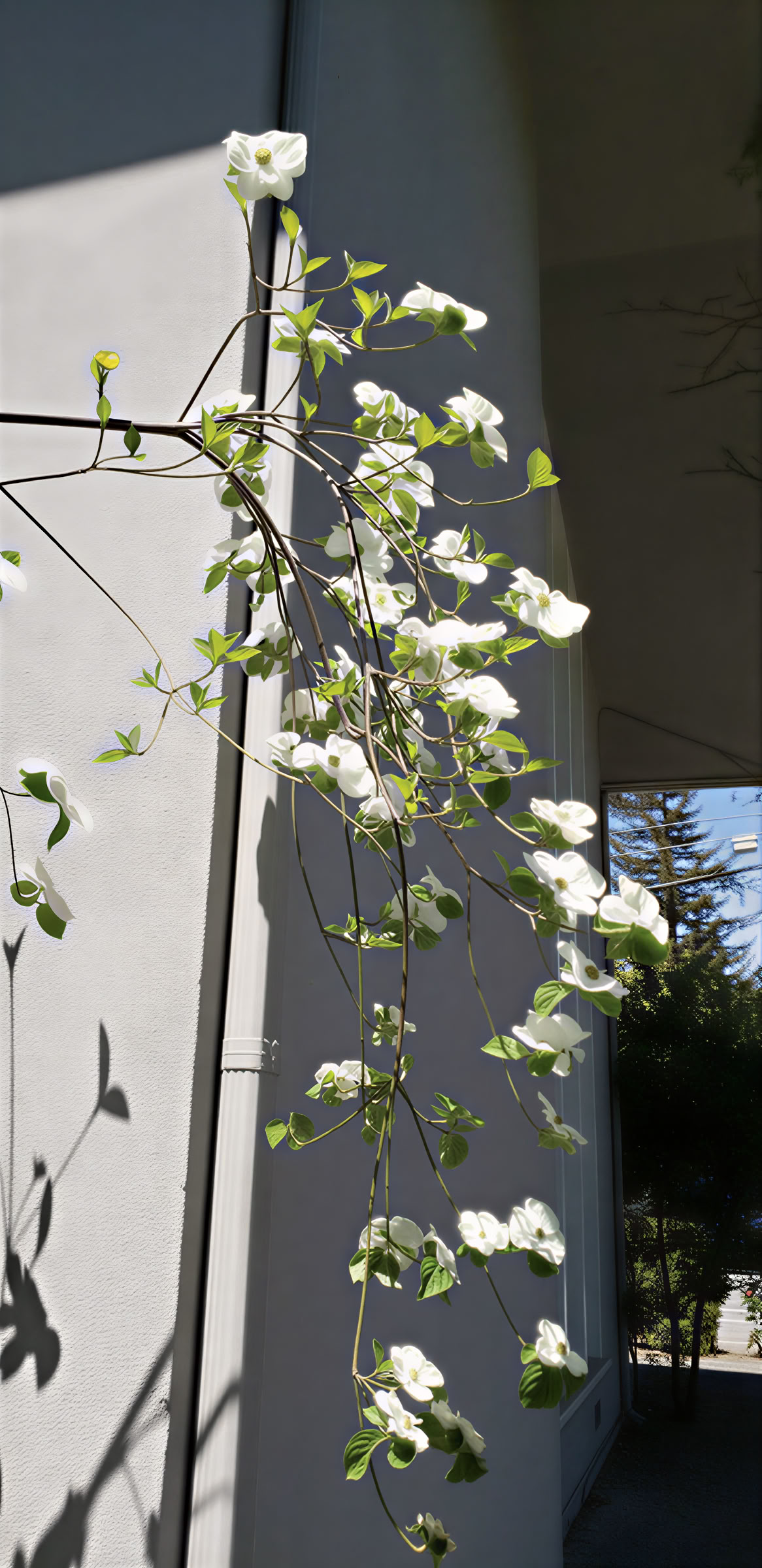Centro di meditazione Vipassana