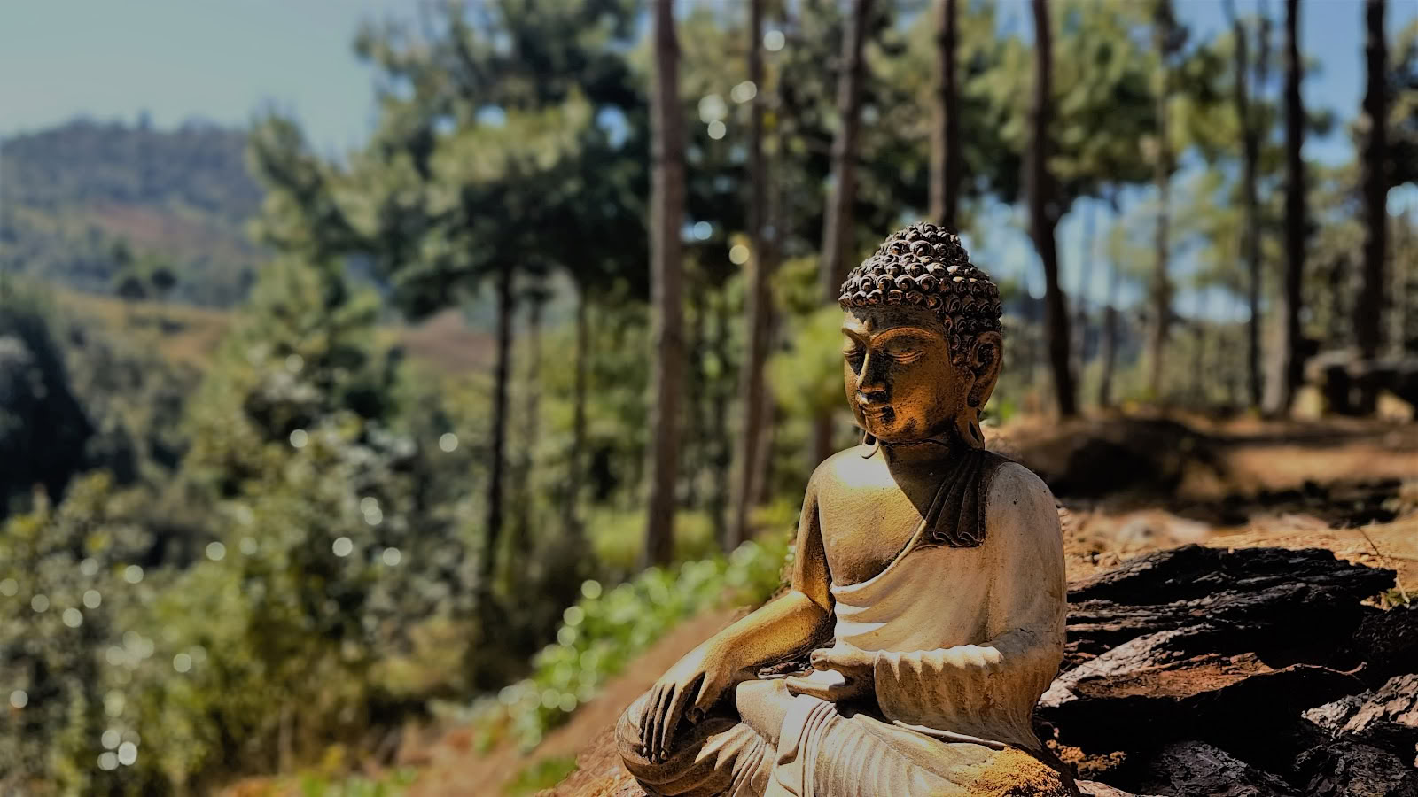 Centro per ritiri di meditazione e yoga Hridaya per famiglie