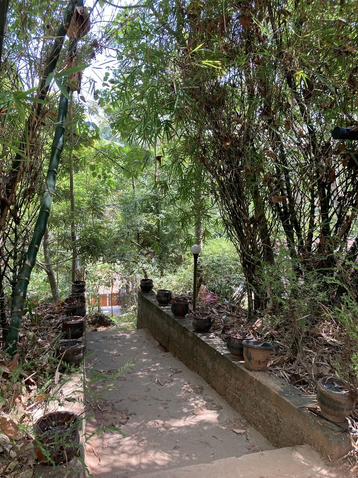 Ritiro di Yoga Agnihotra