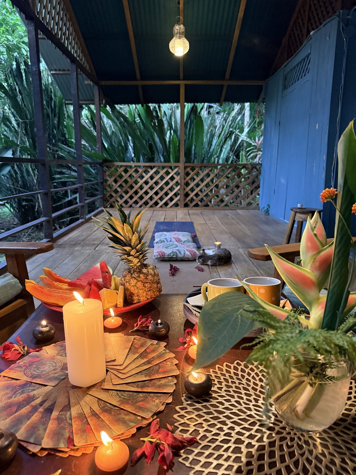Julie LiT Yoga Teacher | Life Coach | Ritiri