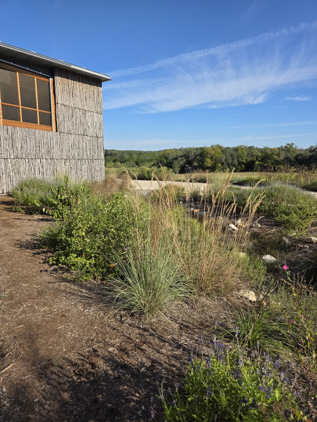 Campeggio presso Shield Ranch