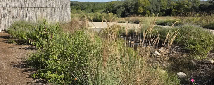 Campeggio presso Shield Ranch