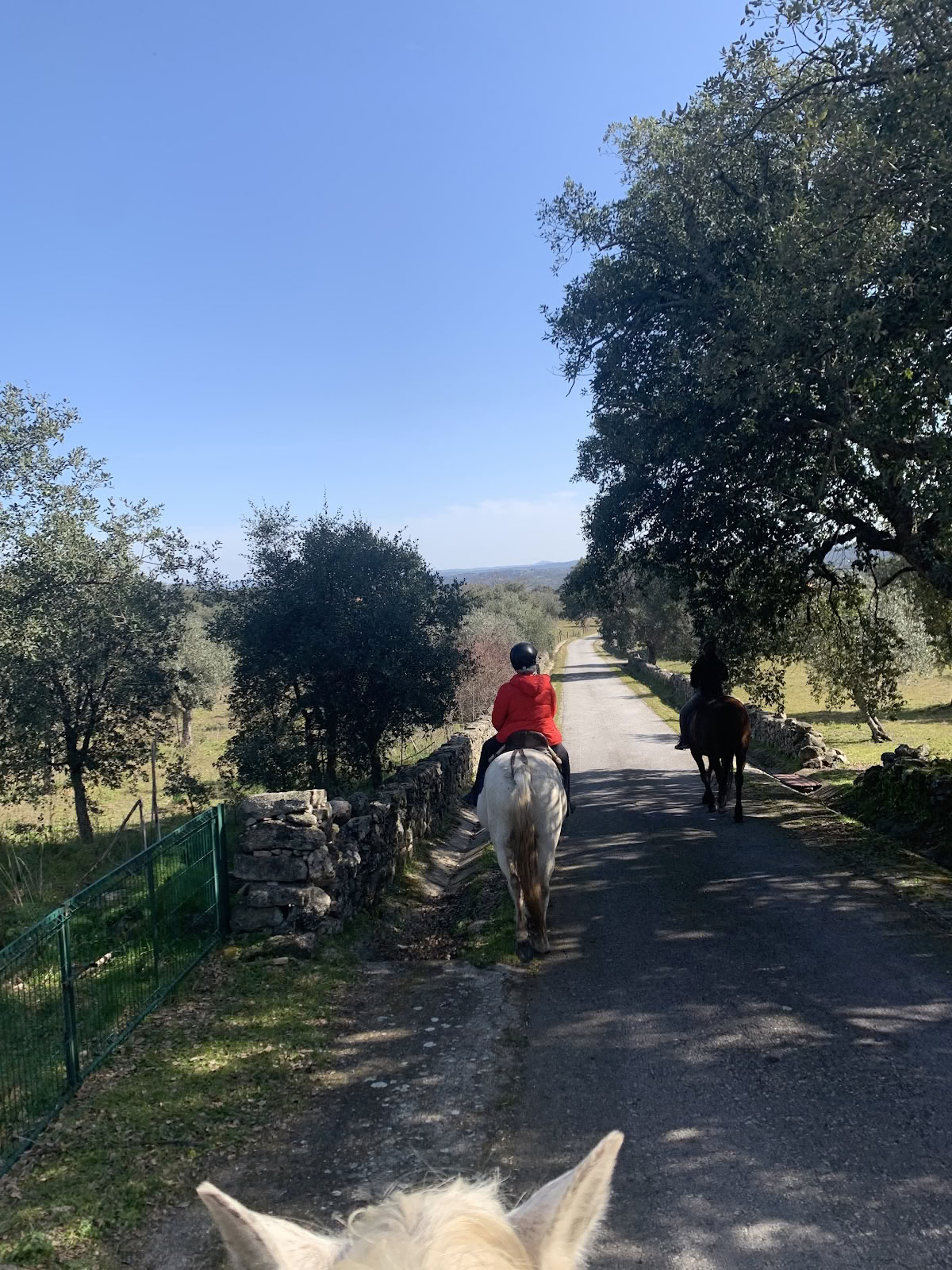 Cavalli di Marvão