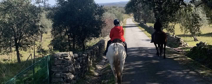 Cavalli di Marvão