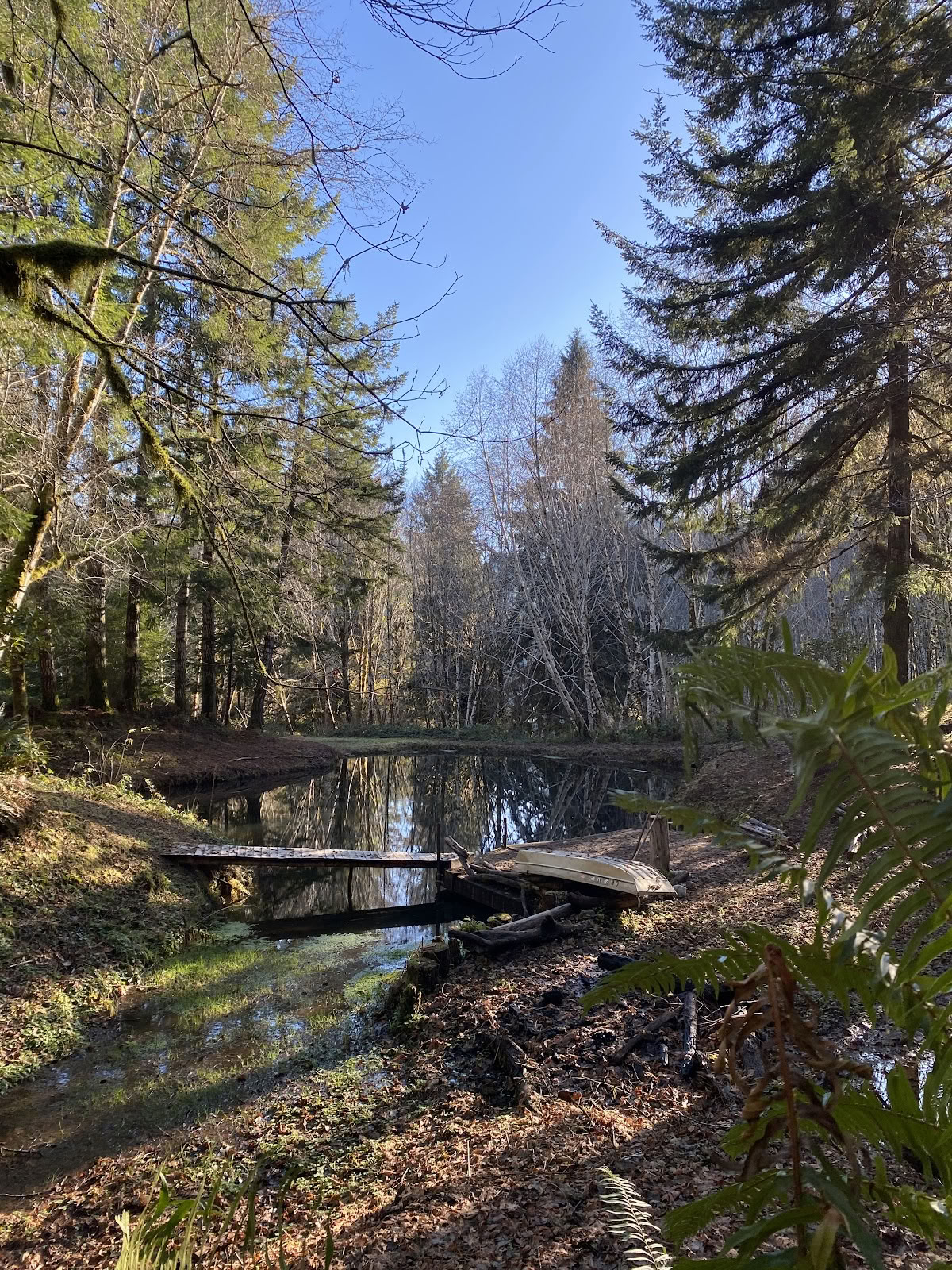 Ritiri al buio in Oregon