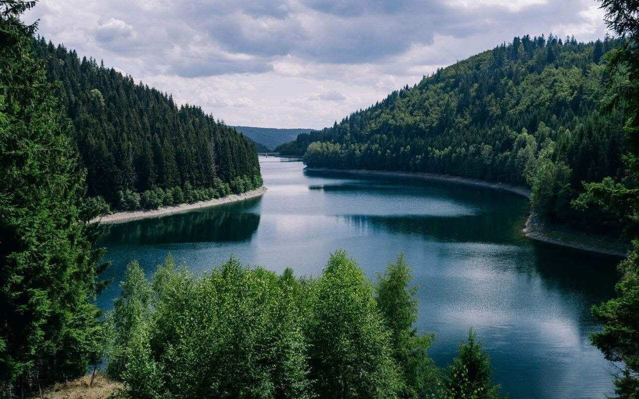 Ritiri di Eutonia