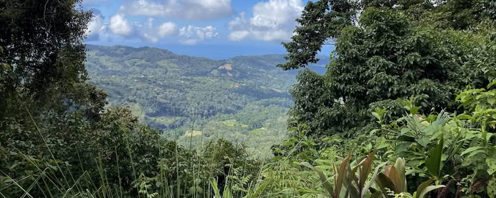 Viaggi nel Pacifico