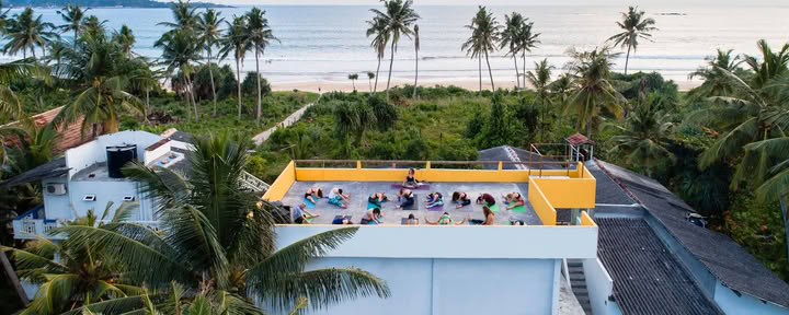 Green Peace Inn - Yoga | Salute | Ritiri