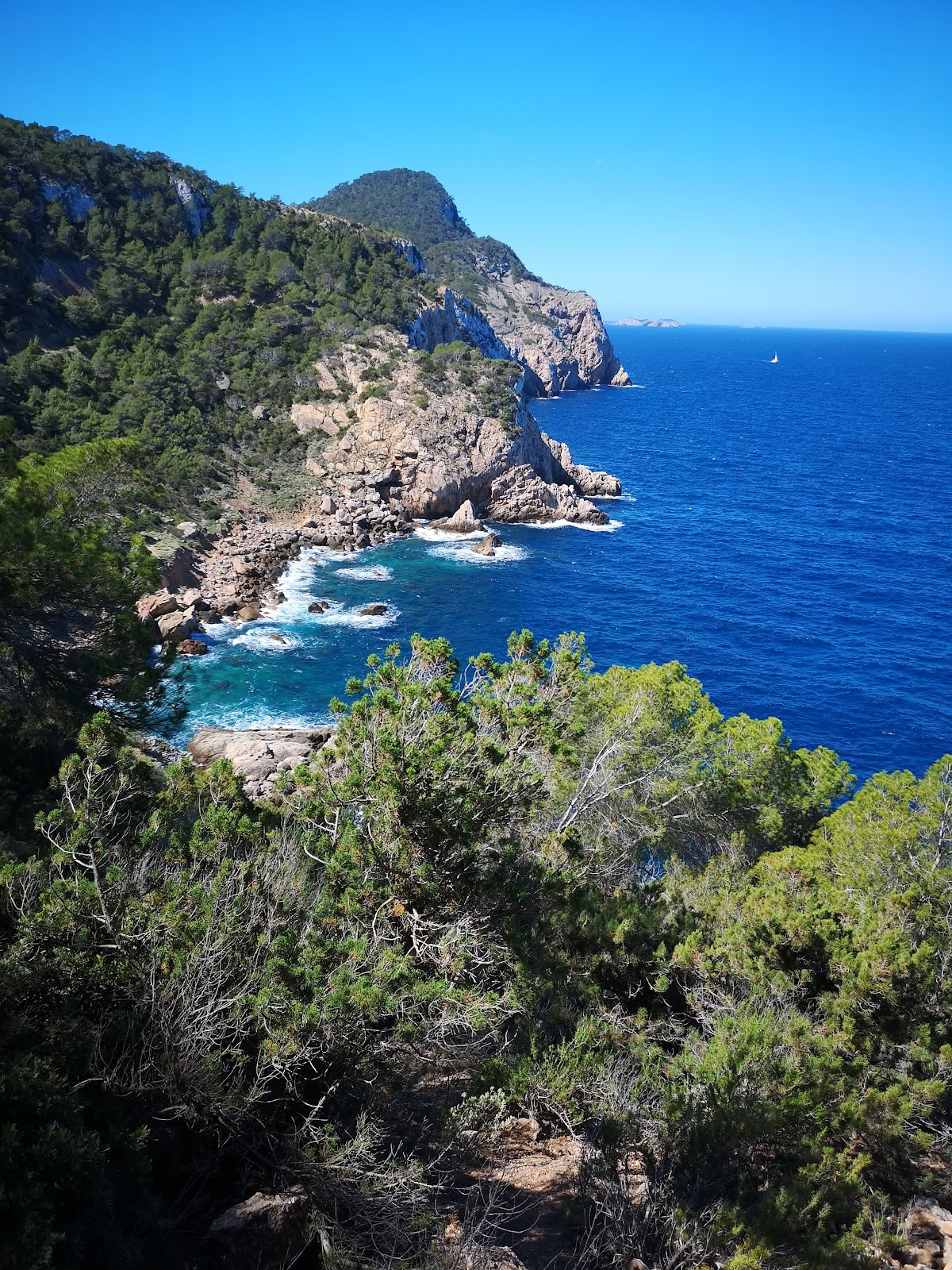 Arti del Movimento di Ibiza