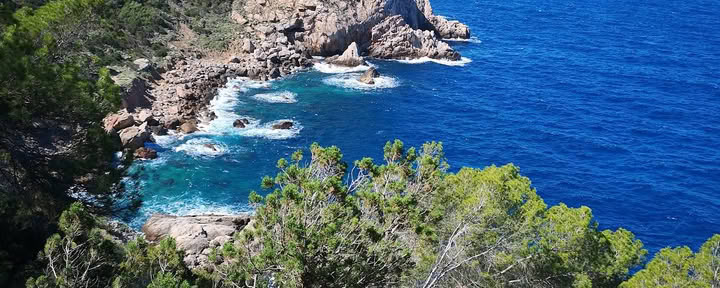 Arti del Movimento di Ibiza